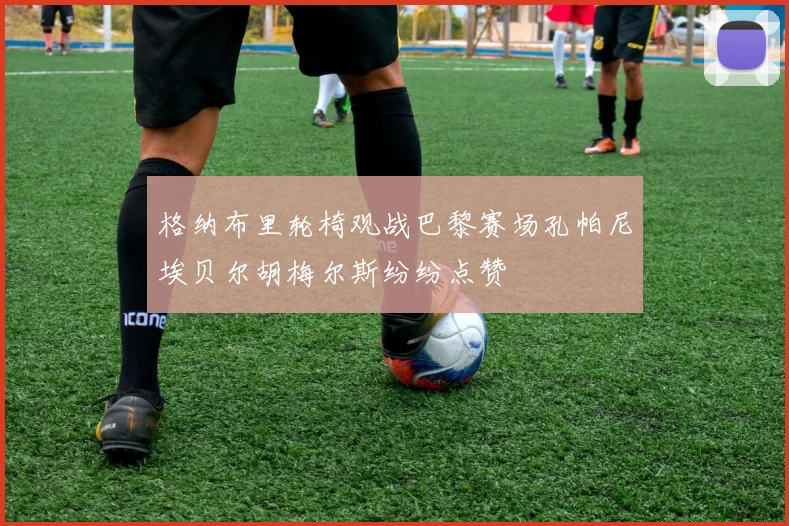 格纳布里轮椅观战巴黎赛场孔帕尼埃贝尔胡梅尔斯纷纷点赞