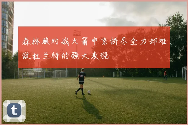 森林狼对战火箭申京拼尽全力却难敌杜兰特的强大表现