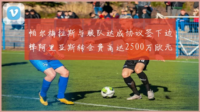 帕尔梅拉斯与狼队达成协议签下边锋阿里亚斯转会费高达2500万欧元