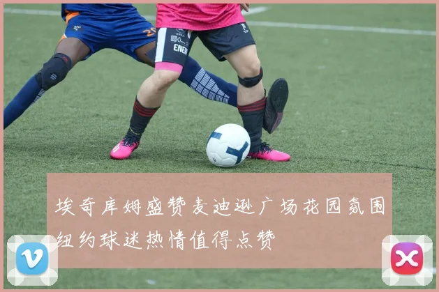 埃奇库姆盛赞麦迪逊广场花园氛围纽约球迷热情值得点赞