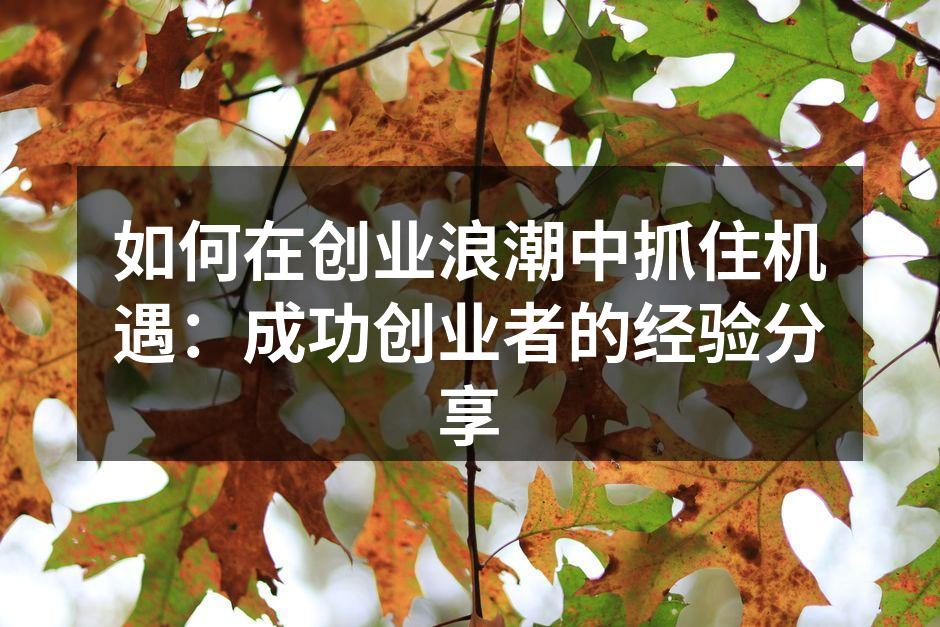 如何在创业浪潮中抓住机遇：成功创业者的经验分享
