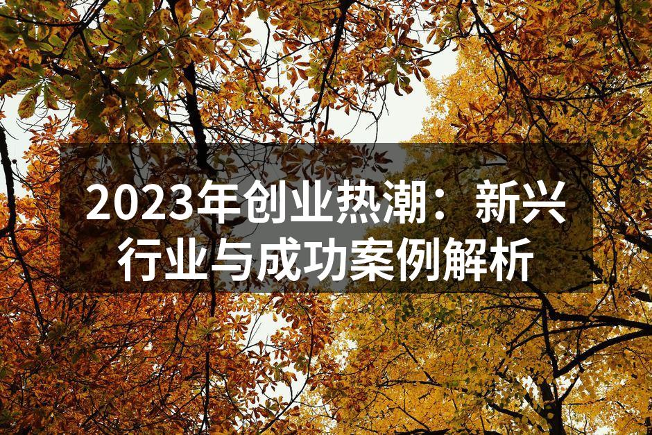 2023年创业热潮：新兴行业与成功案例解析