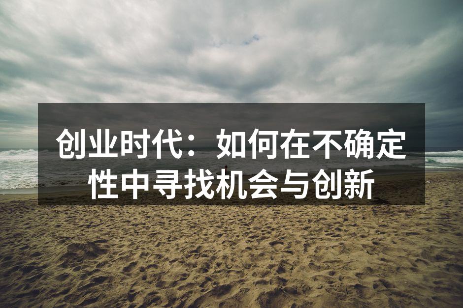 创业时代：如何在不确定性中寻找机会与创新