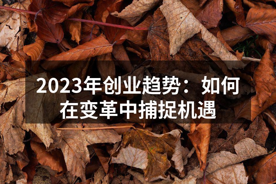 2023年创业趋势：如何在变革中捕捉机遇